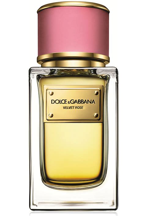 la rose parfum dolce gabbana|dolce by and gabbana perfume.